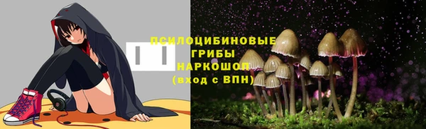 дурь Калининец