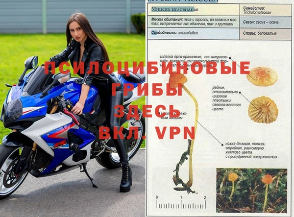 прущая мука Карталы
