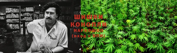 МДПВ Карпинск