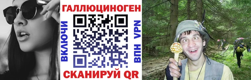 Галлюциногенные грибы Cubensis  Хилок 