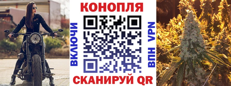 Каннабис планчик omg как зайти Хилок